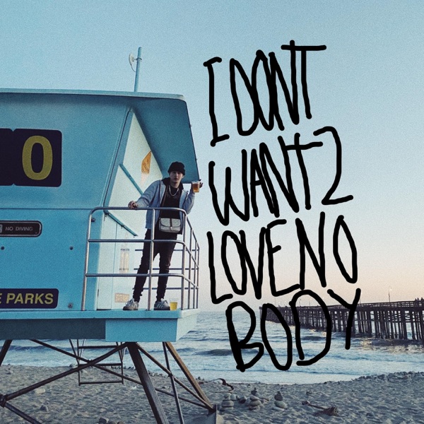 I DON'T WANT TO LOVE NOBODY (feat. Nate Flud & bruiser)