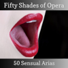Fifty Shades of Opera - 50 Sensual Arias - Bulgarian National Radio Symphony Orchestra, John Landor, Czech Symphony Orchestra & Julian Bigg