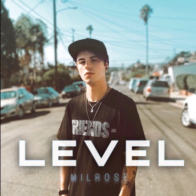 Level - Single