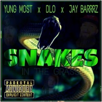 Snakes in the Grass (feat. Dlo & JayBarrrz) - Single - Yung Most