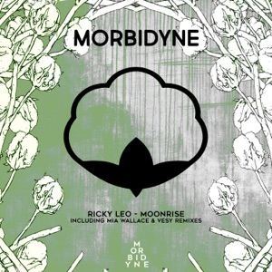 Moonrise - Single