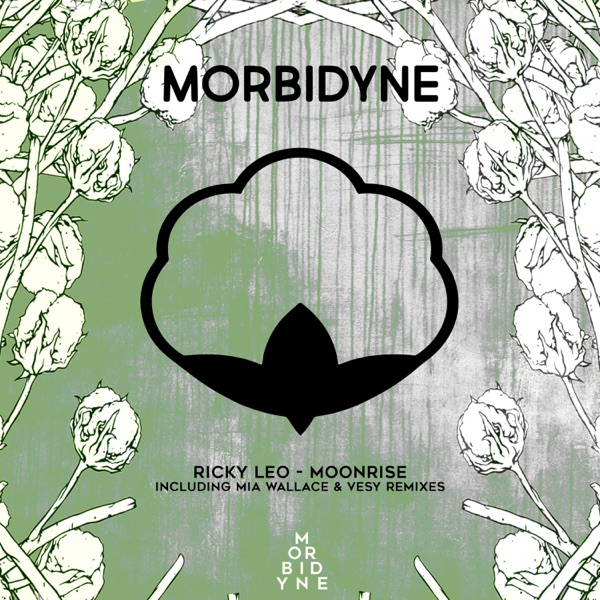 Moonrise - Single