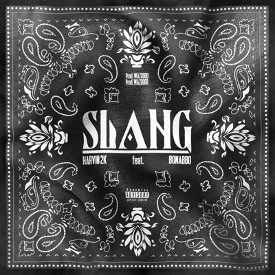 SLANG (feat. Bonabbo) - Single