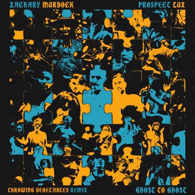 Throwing Vegetables (remix) - Single