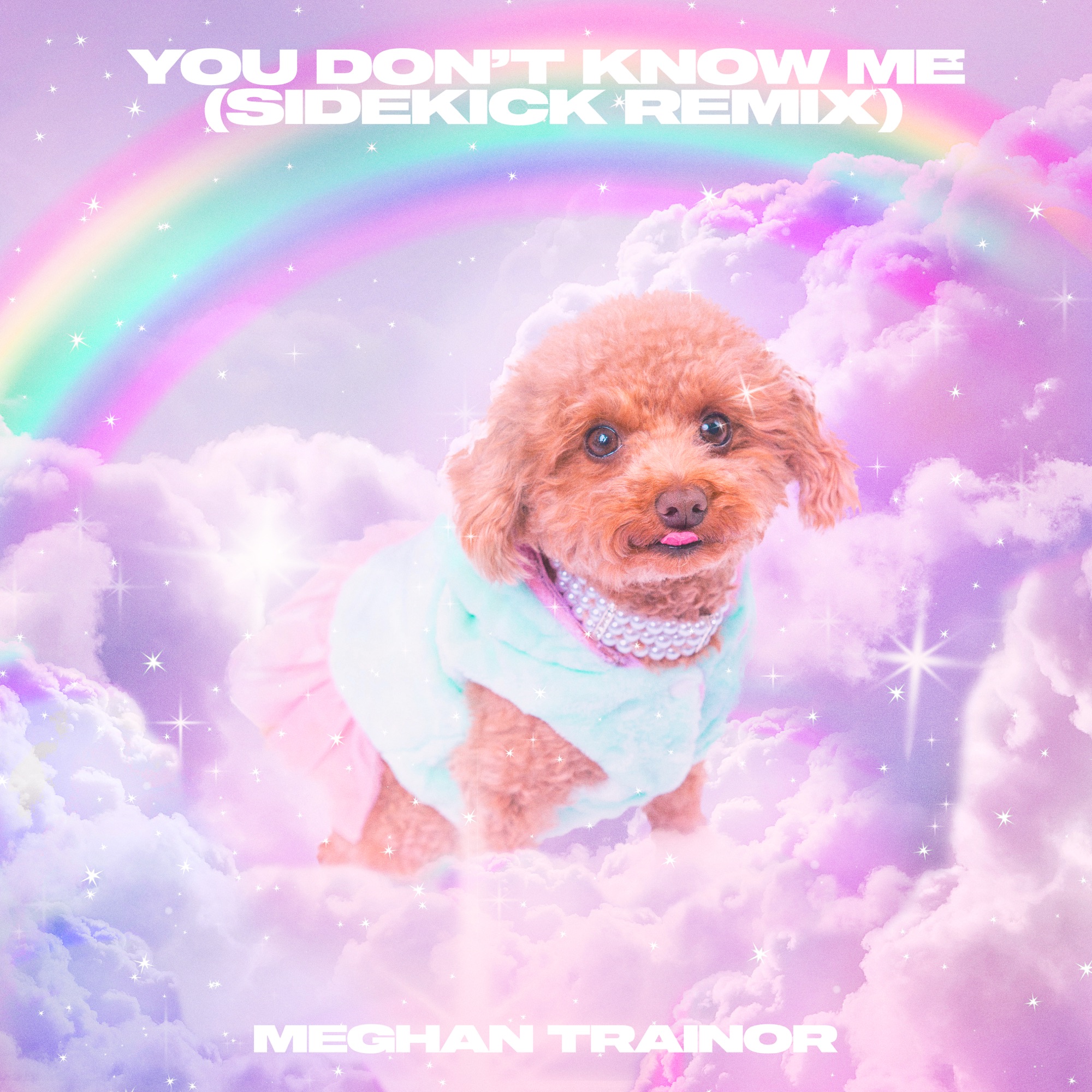 Meghan Trainor & Sidekick - You Don't Know Me (Sidekick Remix) - Single