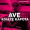 Ave książę Kapota - Książę Kapota lyrics
