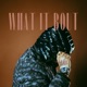 What It Bout feat Wizdubb Single