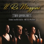 Trio per archi in re Maggiore Op. 9, No. 2: I. Allegretto artwork