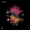 Acid Circus - Timmo lyrics