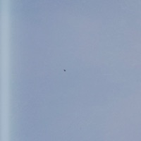 Leave the Waves at the Ocean (feat. Nicolás Carou) - Single - Cintas Encontradas del Baúl de Gargamel