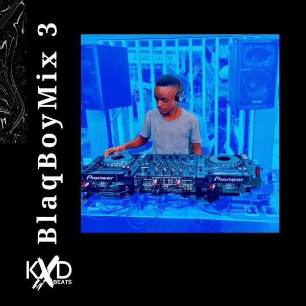 BlaqBoy Mix 3 (DJ Mix)