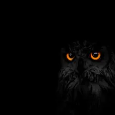 Hör dir O Boy an, schau dir Musikvideos an, lies die Biografie, finde Tourdaten und mehr!