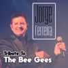 To Love Somebody (Radio Edit) - Jorge Ferreira