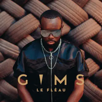 Dans ma tête (feat. Jaekers) by GIMS song reviws
