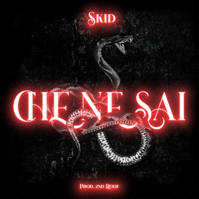Che Ne Sai (Freestyle) - Single