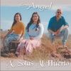 Grupo Angel - A Solas Al Huerto