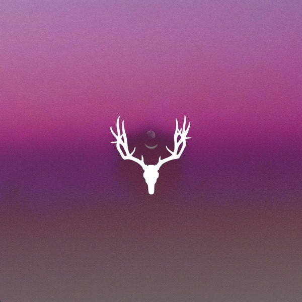 Nightfall - Single