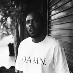DAMN. COLLECTORS EDITION. - Kendrick Lamar Cover Art