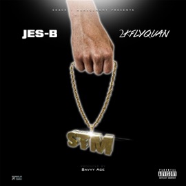 S.T.M. (feat. 2kflyquan) Jes-B