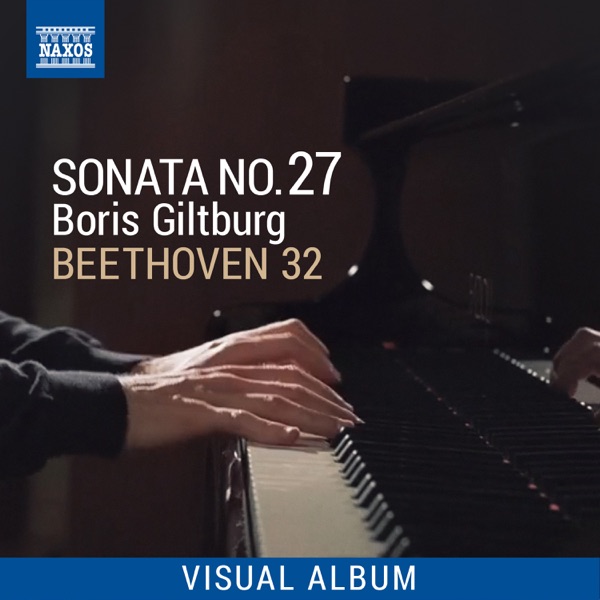 Beethoven 32: Piano Sonata No. 27 (Visual Album)