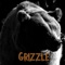 Grizzle - Stephen Mark Maughan lyrics