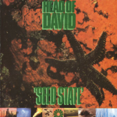 Seed State - Head Of David