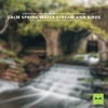 Ambi Nature Radio - Relaxing Birdsing and Water Stream