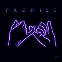 Promise - Single - CJ Pitts