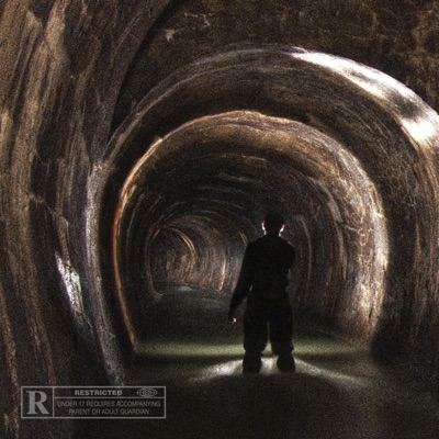 Lost Within This Septic Prison