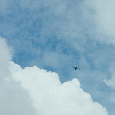 The king of birds (feat. skyminhyuk & KEZ) - Single