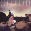 Cock Robin - When Your Heart Is Weak