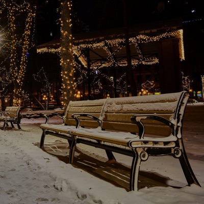 Bench in the Winter Park - Single