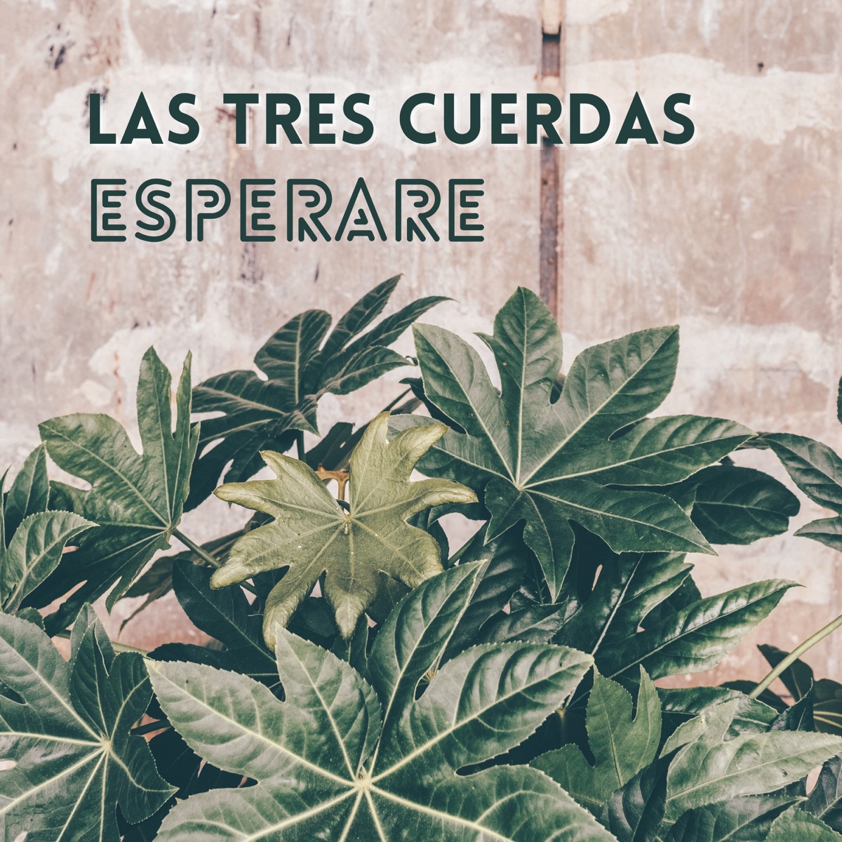 Esperare - Single - Album by Las Tres Cuerdas - Apple Music