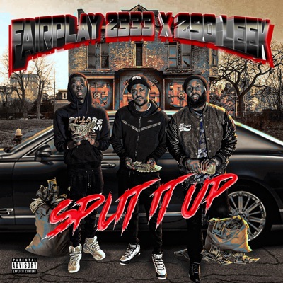 Split It Up (feat. Leek Muney & 290 Roe) - Single