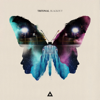 Blackout (feat. Steph Jones) - Tritonal
