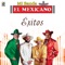 Ramito De Violetas - Mi Banda El Mexicano lyrics