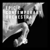 Epic & Contemporary Orchestra - Bastien Deshayes, Lucas Napoleone & Thomas Frinking