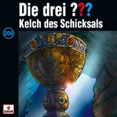 Folge 208: Kelch des Schicksals artwork