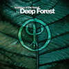 Night Bird (2004 Version) - Deep Forest