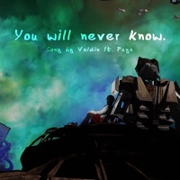 You Will Never Know (feat. Paya) - Single - Veldin