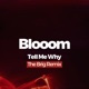 Tell Me Why The Brig Remix Single