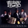 Los Palominos