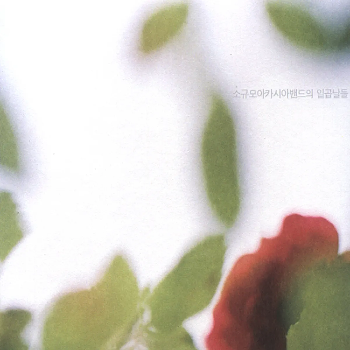 Sogyumo Acacia Band 小洋槐乐队 - 일곱날들 (2008) [iTunes Plus AAC M4A]-新房子