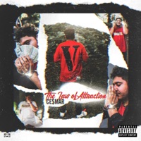 The Law of Attraction - Ce$mar