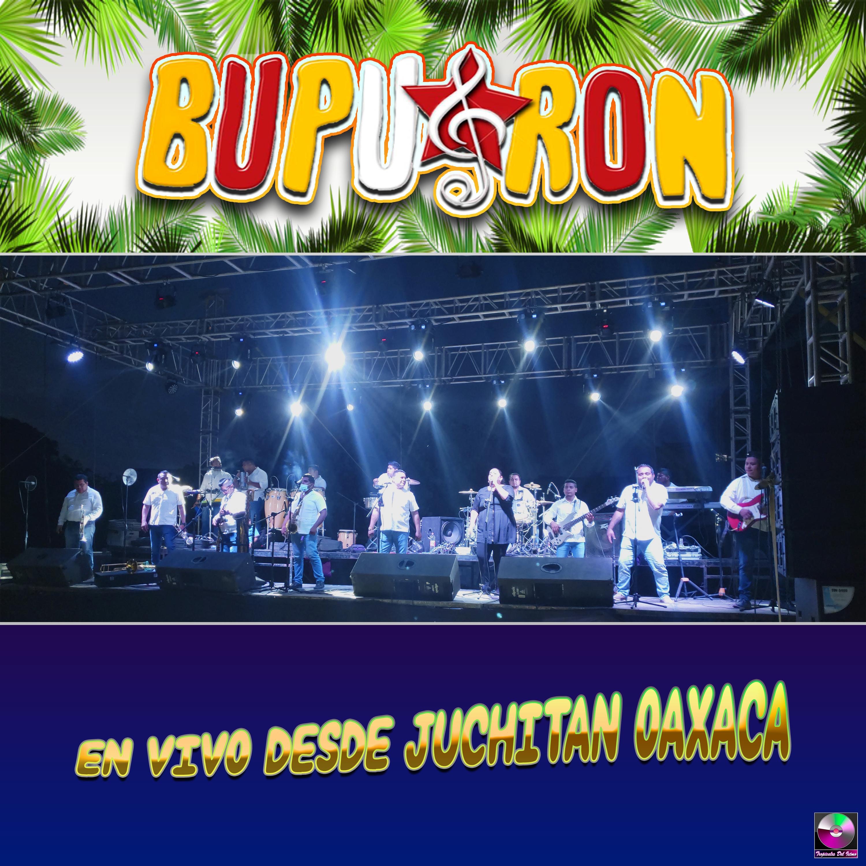 En Vivo Desde Juchitán Oaxaca (En vivo)