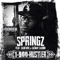 1-900-Hustler (feat. Cash Bfd & Cashay Casino) - Springz lyrics