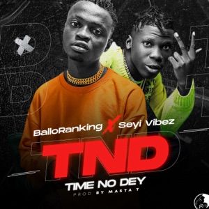 Time No Dey (feat. Seyi Vibez)