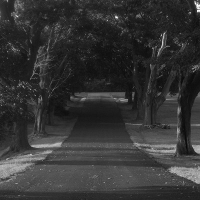 Compunctious - Single