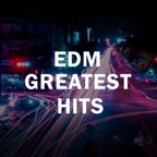 Levels (Radio Edit)