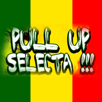 Bombo Clat Dj - Pull up Selecta !!! artwork
